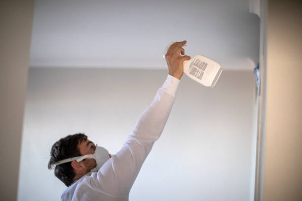Mold Removal and Inspection in Southwest Sandhill, TX