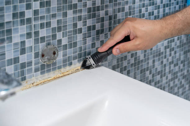 Best Certified Mold Removal  in Southwest Sandhill, TX
