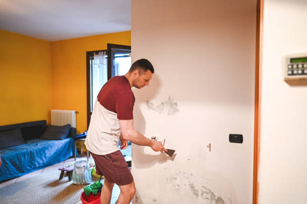 Best Office Mold Removal Services  in Southwest Sandhill, TX